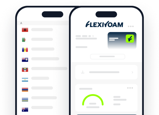 Download the FlexiRoam App